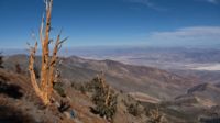 Oben in der Panamint Range – rechts unter uns die Weiten des Death Valley