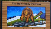 Auf dem Bow-Valley-Parkway Richtung Banff ...