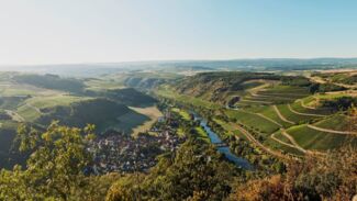 assets/images/a/260%20-%20Blick%20vom%20Lemberg%20in%20die%20Weinberge-7b021a38.jpg