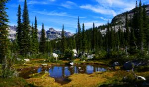 Radreise I - kanadische Rocky Mountains (nur Hotel ODER mit 2x Zelt)